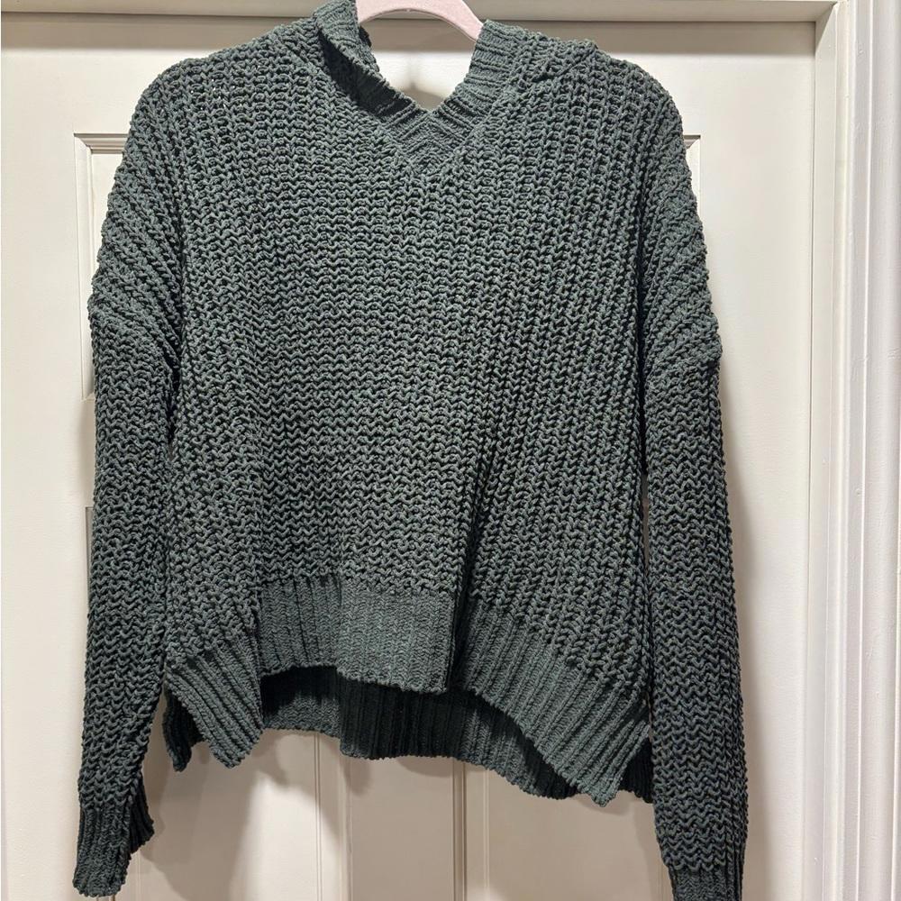 Uncharted Threads Cropped Knit Chenille Hoodie Sweater